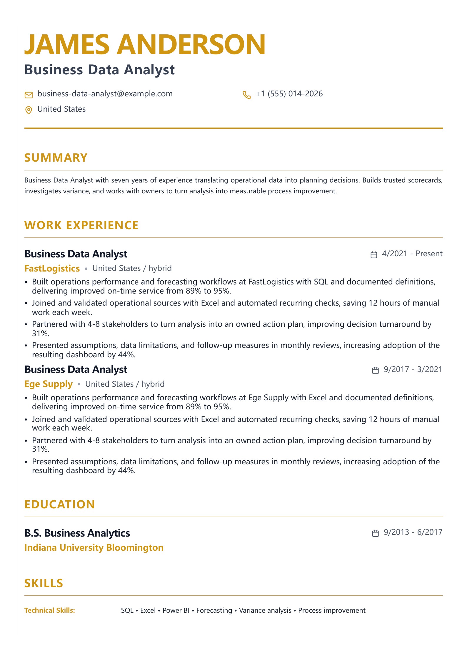 Business Data Analyst Resume Example - English example