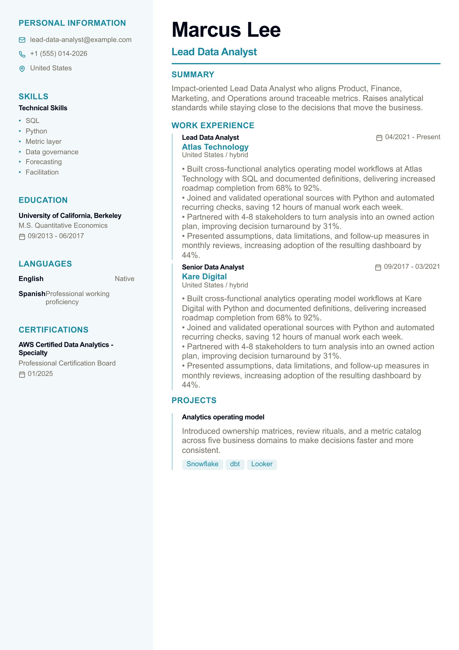 Lead Data Analyst Resume Example - English example