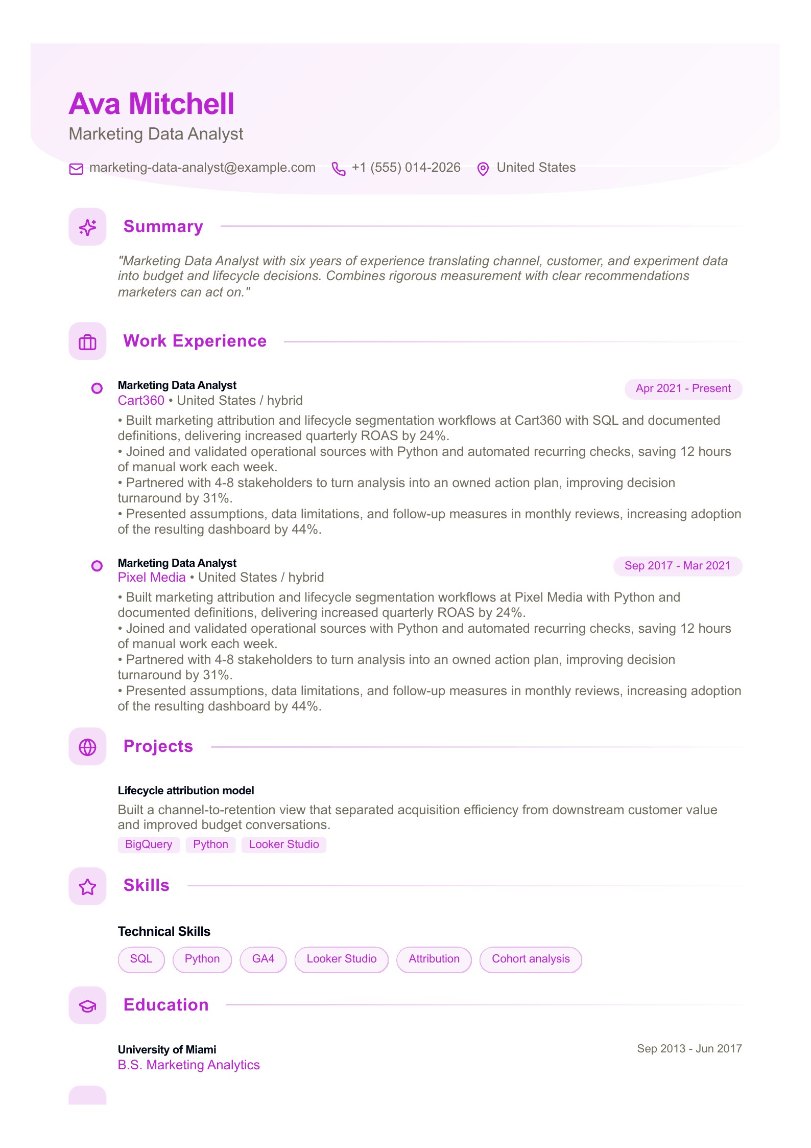 Marketing Data Analyst Resume Example - English example