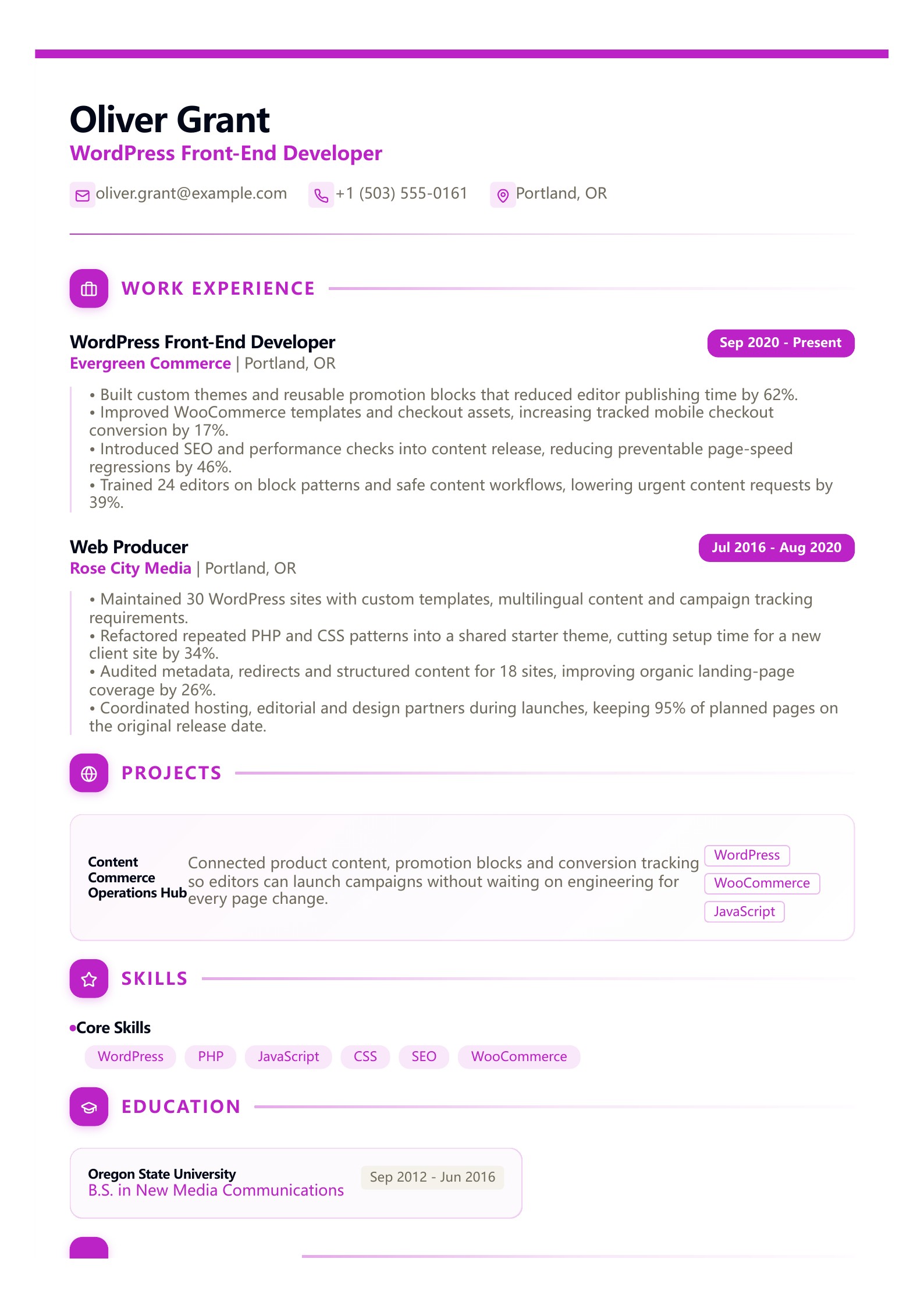 WordPress Front-End Developer Resume - English example