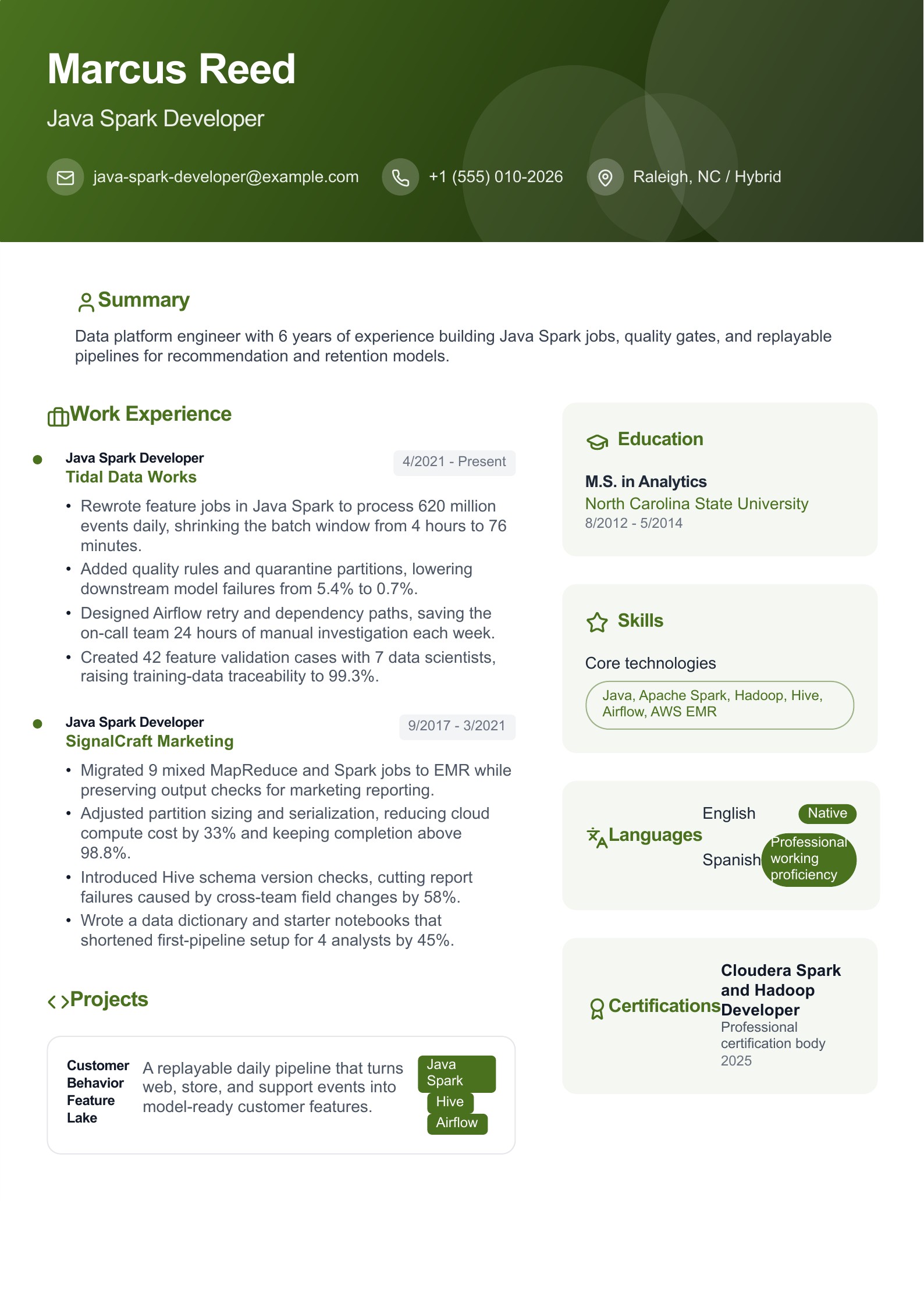 Java Spark Developer Resume preview