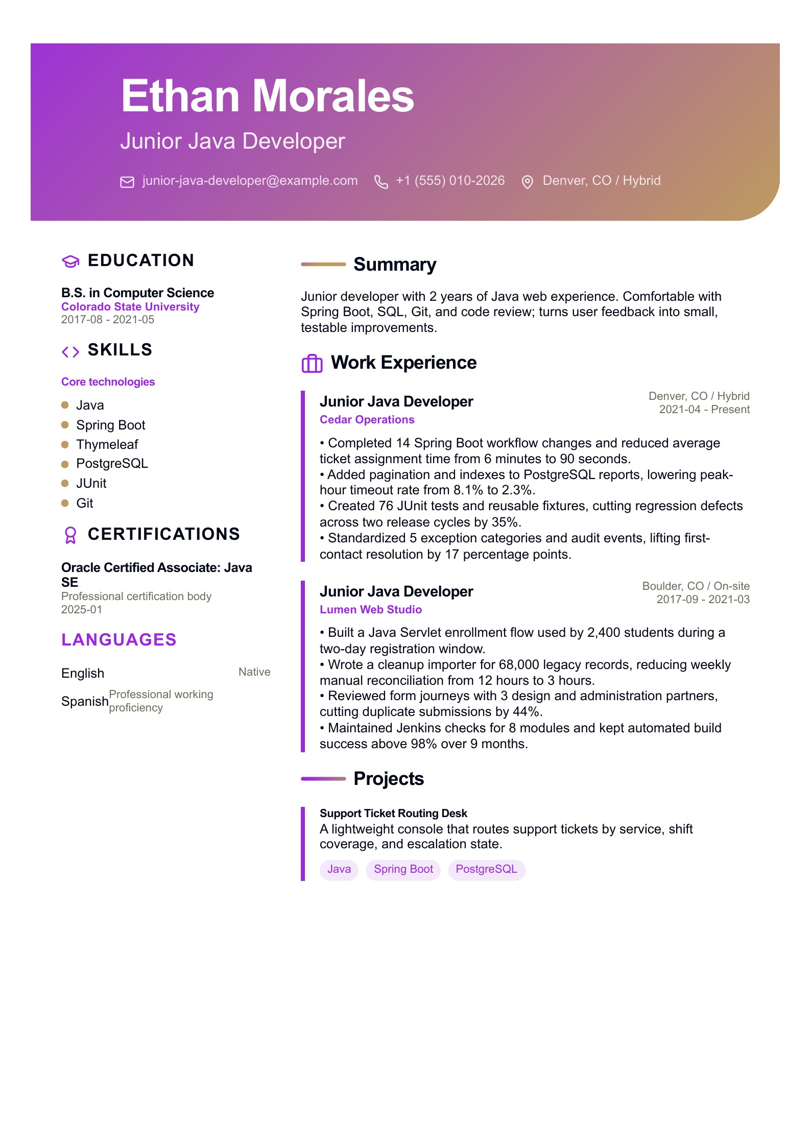 Junior Java Developer Resume preview